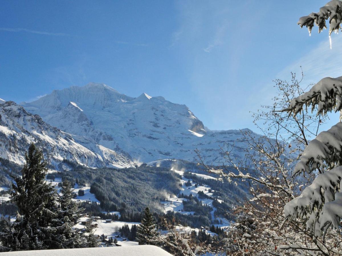 Apartment Tschingelhorn By Interhome Wengen Eksteriør bilde